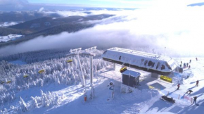 Biała Perła Sunny Mountain 103